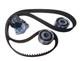 Alfa Romeo 147 156 Gta 166 Gtv Spider Gt 2.5 3.0 3.2 V6 Skf Cam Belt Timing Kit