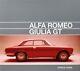 Alfa Romeo Giulia Gt Tipo 105 (bertone Sprint Gta Gtc Junior Veloce) Buch Book