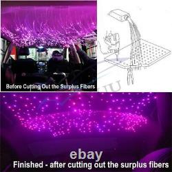 Car 12W RGBW Twinkle Fiber Optic Light Starry Sky Lamp 370Pcs Cable Dual Control