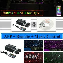 Dual Head Fiber Optic 12W Light Source 20W RGBW Twinkle RF Remote Bluetooth APP