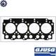Gasket Cylinder Head 10119200 For Ford Scc 2.5l Scd 2.5l 4cyl Scorpio Ii Opel