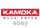 Kamoka 8430005 High Pressure Pump For Alfa Romeo, Audi, Bmw, Vw