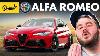 Alfa Romeo Tout Ce Que Vous Devez Savoir Pour Accélérer