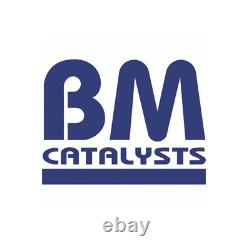 Convertisseur catalytique homologué pour Fiat Bravo MK2 1.4 16V avant BM 50527951